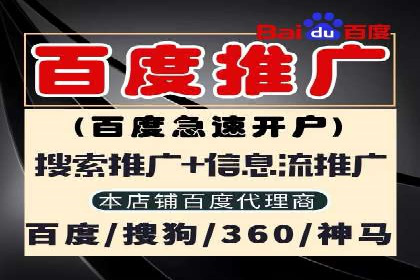 案例分析：SEM广告助力旅游行业增长